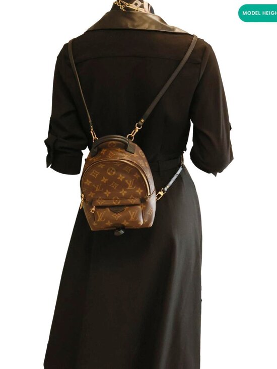 Louis Vuitton  Palm Spring Mini Monogram Canvas Backpack Brown main image 11